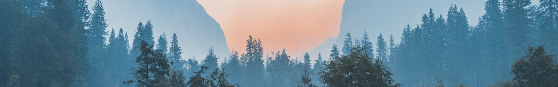 此为测试站，正式版请访问8ww.fun