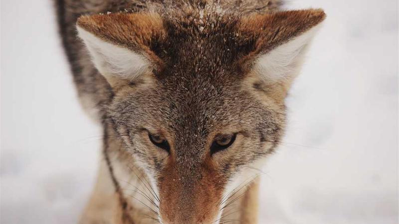 做“难而正确的事”