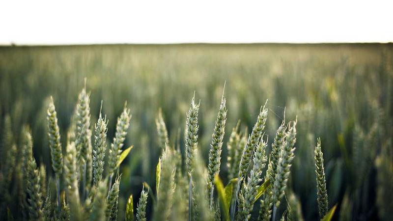 国漫崛起背后，你所不知的“吉林动画”（艺近人和）