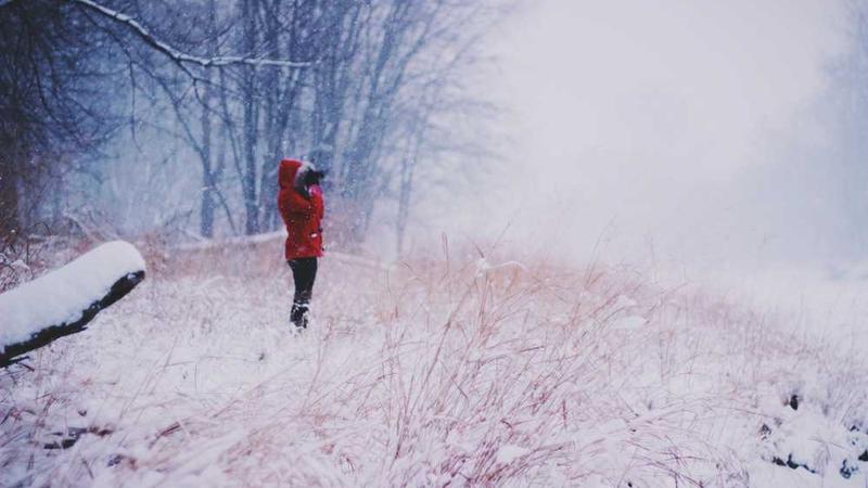 语鲸AI：微信公众号文章阅读神器，重塑信息获取新范式？