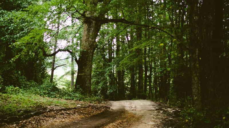 做“难而正确的事”