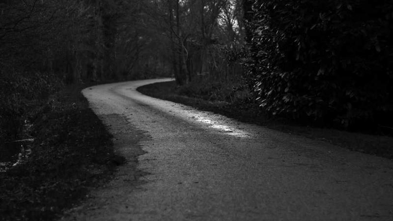 语鲸AI：微信公众号文章阅读神器，重塑信息获取新范式？