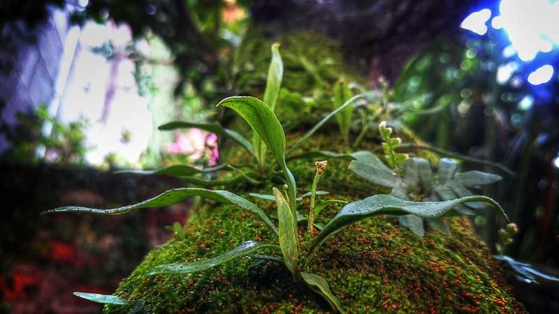 国漫崛起背后，你所不知的“吉林动画”（艺近人和）