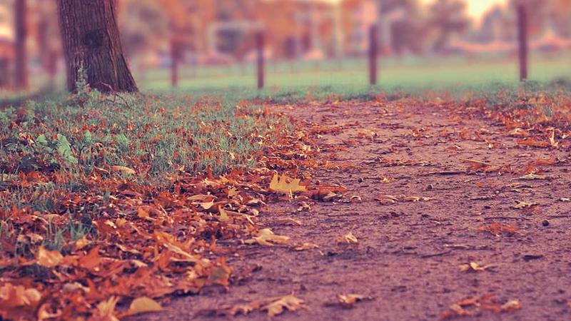 近一成美国报纸文章涉AI撰写，**AI写作**透明度面临挑战 