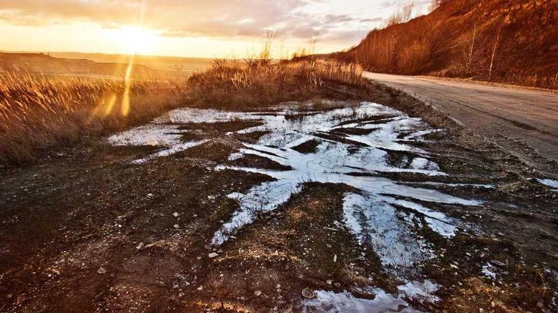 语鲸AI：微信公众号文章阅读神器，重塑信息获取新范式？